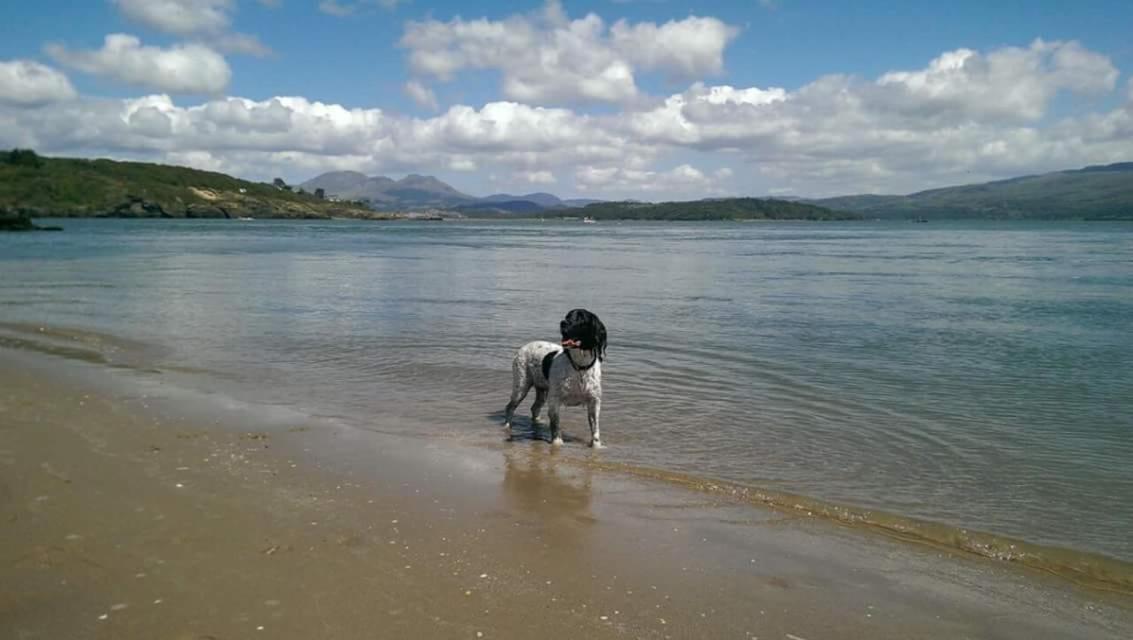 89 Lower Lakeside - Glan Gwna Holiday Park Caernarfon Esterno foto