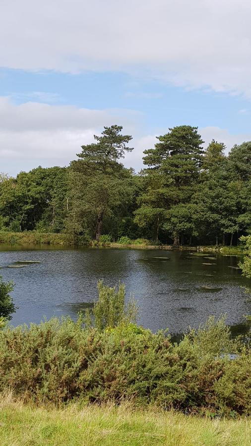 89 Lower Lakeside - Glan Gwna Holiday Park Caernarfon Esterno foto